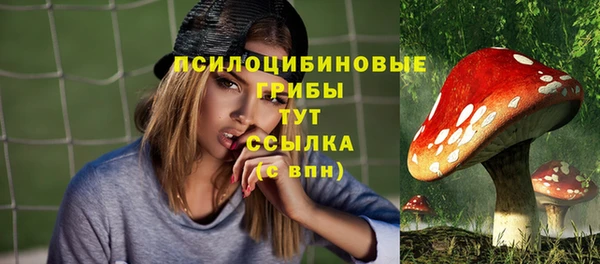 a pvp Армянск
